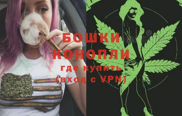 бошки Белокуриха