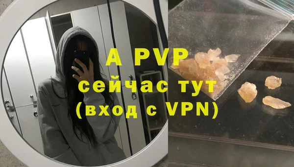 бошки Белокуриха